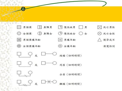 家庭圖關係線|家系圖怎麼畫？多種方法來教你！